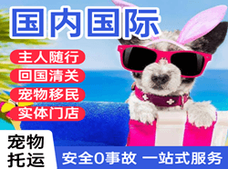 毕节飞雄航空邮寄国际宠物托运 【国